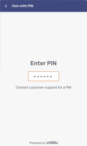 The Visitor Individual UI PIN entry screen